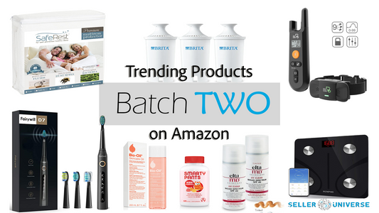Batch 2: Amazon Trending Products